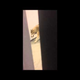 The Sochi 'Wolf in the Hotel' Video Was a Jimmy Kimmel Prank